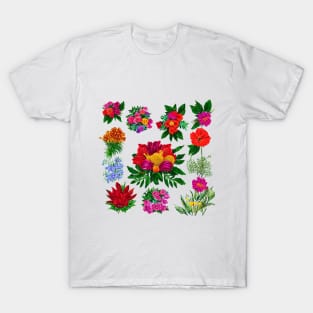 flores coloridas T-Shirt
